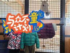 -北京群众马术培训基地