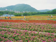 -东部华侨城
