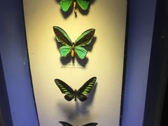 -吉林省自然博物馆