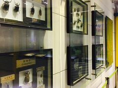 -上海昆虫博物馆