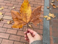 -衡山路(地铁站)