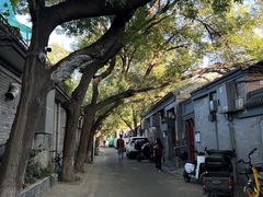 -赵府街副食店