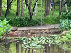 -深圳龙潭公园