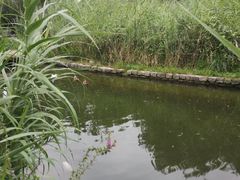 -北京水岸山吧度假村(雁栖镇店)