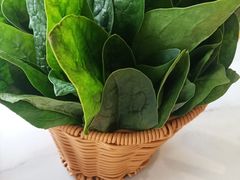 -京悦南门涮羊肉(长寿路店)