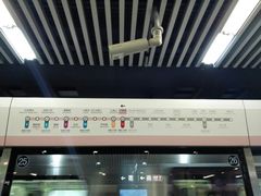 -大望路(地铁站)