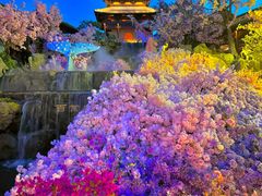 -茅山东方盐湖城景区