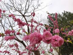 -西清公园