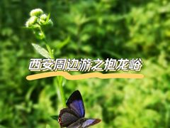 -抱龙峪