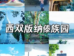 -西双版纳傣族园