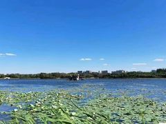 -大兴滨河森林公园