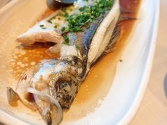 广式葱油海鲈鱼-醉辉皇原味海鲜江南菜(成都大魔方店)