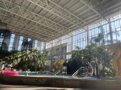 -中家鑫园温泉酒店鑫悦汤泉