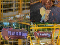 -灵玲国际马戏城