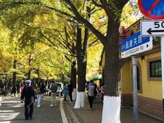 -八大关景区