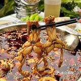 53.8r/位！成都乌鱼花火锅随便吃！真的好值！