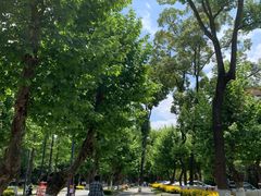 -四川大学(望江校区)