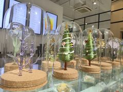 -穆拉诺餐厅(上海玻璃博物馆店)