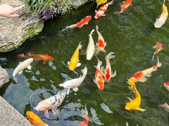 -聚福宝合苑食府(南头镇店)