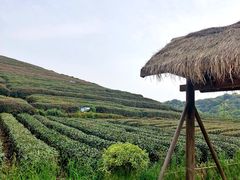 景观位-听风阁农家私房菜茶楼(龙坞店)