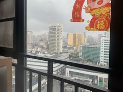 -喵园·猫主题咖啡厅·撸猫·猫咖(国贸店)