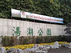 -汤湖公园