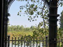 -合肥滨湖国家森林公园