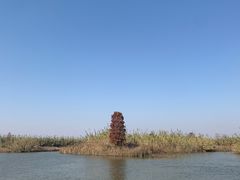 -宁波杭州湾国家湿地公园
