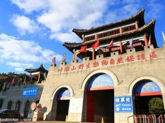 -西霞口神雕山野生动物世界