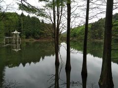 -四明山国家森林公园