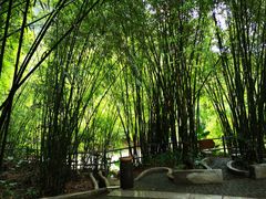 -英西峰林·洞天仙境
