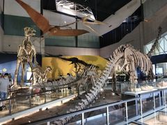 -湖南省地质博物馆