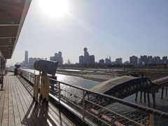 -武汉知音号