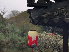 -上海醉白池公园