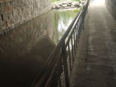 -白水寺森林公园