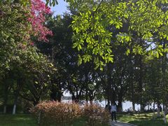 -海珠湖公园