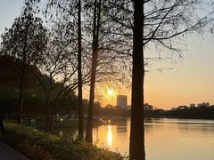 -顺峰山公园