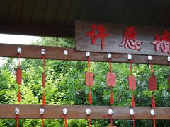 -九龙湖公园