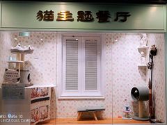 -猫小院猫主题餐厅(三里屯店)