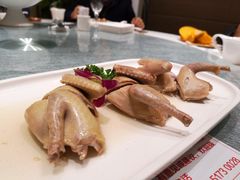 盐水乳鸽-小厨娘淮扬菜(板桥一店)