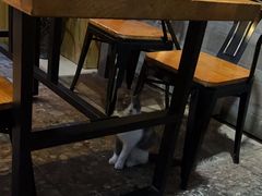 -小厨子私房菜·云南美食店