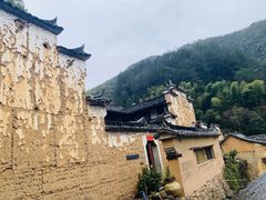 -杨家堂村