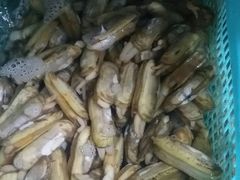 -云南巷海鲜大咖·可加工海鲜