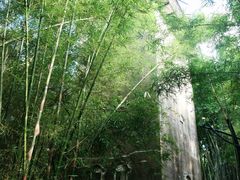 -开平碉楼文化旅游区马降龙景区