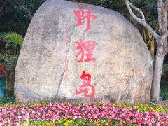 -野狸岛