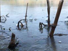 -东钱湖旅游度假区