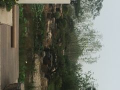 -武清南湖绿博园