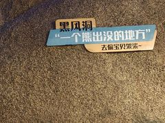 -嵖岈山风景区