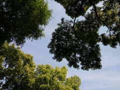 -汇龙潭