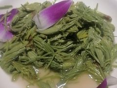 -嫩芽 ·地道重庆菜(十八梯露台夜景店)